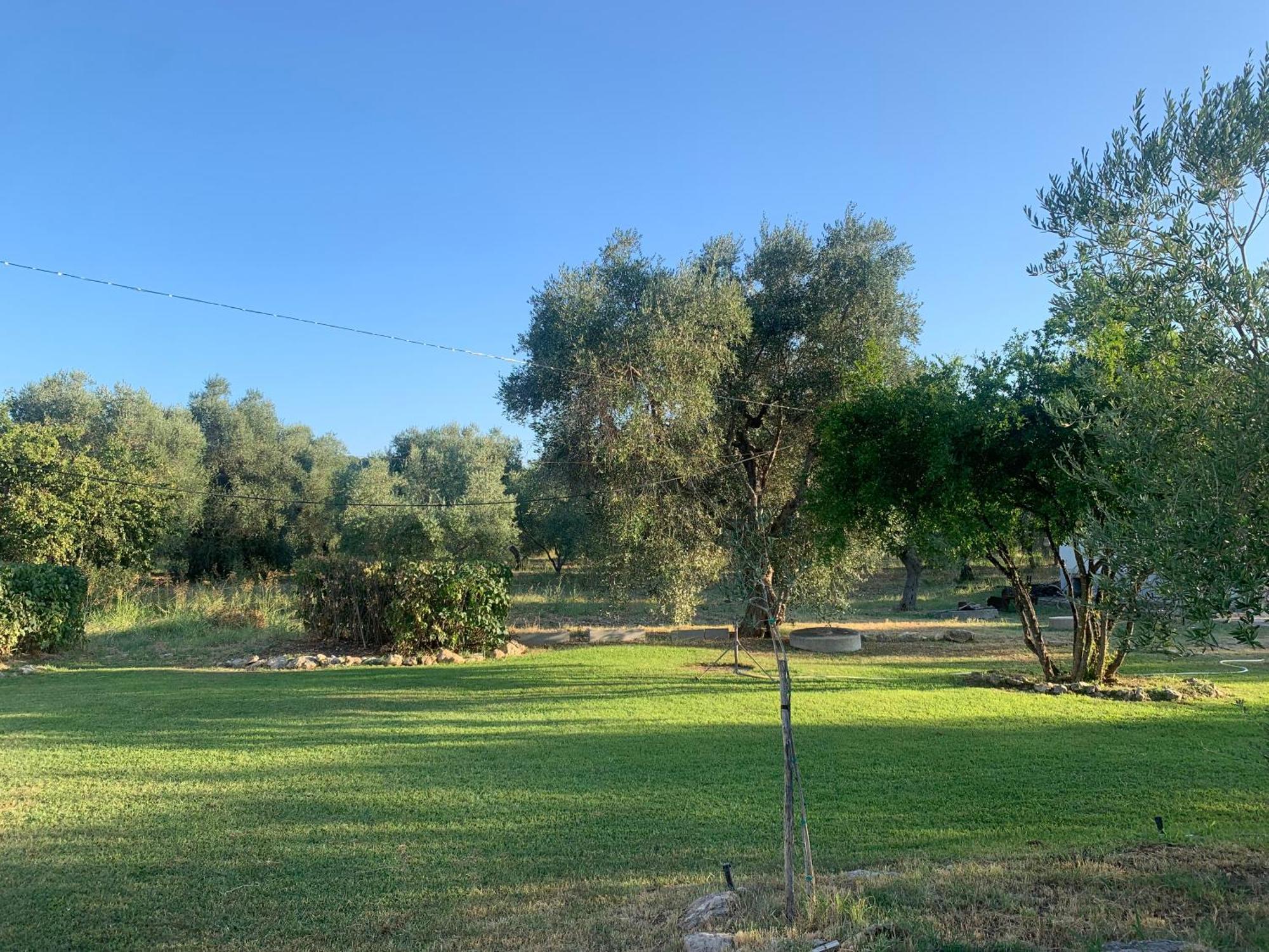 Casa Colonica Di Campagna Come Era Una Volta Villa Peschici Exteriör bild